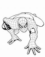 Coloring Spiderman Pages Spider Man Easy Marvel Upside Down Hanging Face Amazing Head Printable Comics Color Getdrawings Getcolorings Colorings Boys sketch template