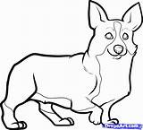 Corgi Drawing Line Drawings Coloring Pages Draw Dogs Dog Clipart Step Cliparts Popular Animal Dawn Paintingvalley Library Colouring Choose Board sketch template