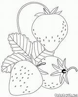 Coloring Strawberries Berries Handicraft Print sketch template