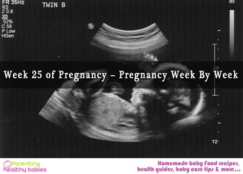 Week 25 Of Pregnancy Pregnancy Week By Week