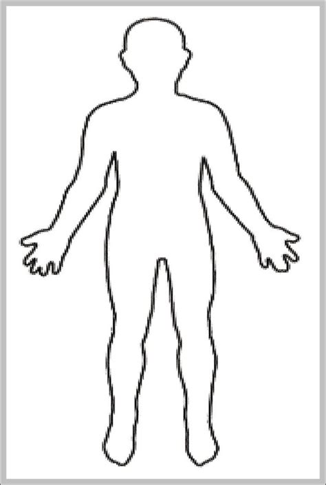 human body outline  kids  anatomy system human body