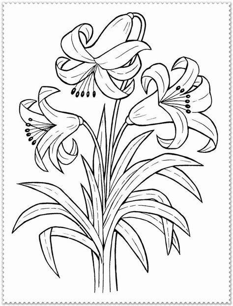 spring flowers coloring page awesome printable spring flower coloring pages coloawesome