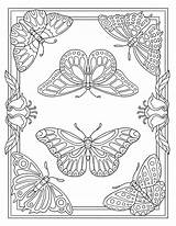 Prendre Envol Tsgos Butterflies Papillon sketch template