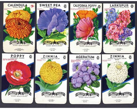 collection   vintage flower seed packets thelabelman