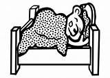 Oso Dormir Orso Disegno Colorare Dormi Slapen sketch template