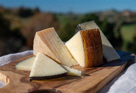 Assortment Of Spanish Hard Cheeses Curado Manchego Goat And Sheep