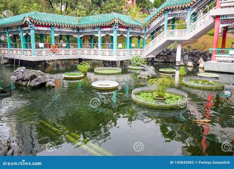 chinese pond  garden  wong tai sin temple hong kong stock photo