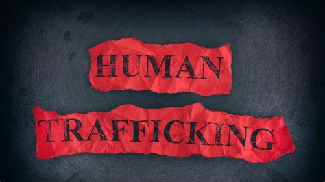 Human Trafficking Essay Examples And Papers