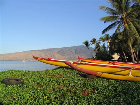 outrigger canoe  photo  freeimages