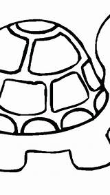 Turtle Coloring Pages Snapping Getcolorings Baby sketch template