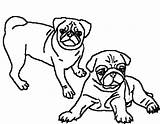 Pug Coloring Pages Two Pugs Adult Clipart Puppy Print Dog Printable Beautiful Drawing Cartoon Pig Color Kids Draw Getdrawings Getcolorings sketch template