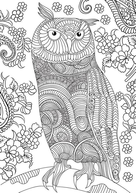 coloring owls images  pinterest adult coloring coloring