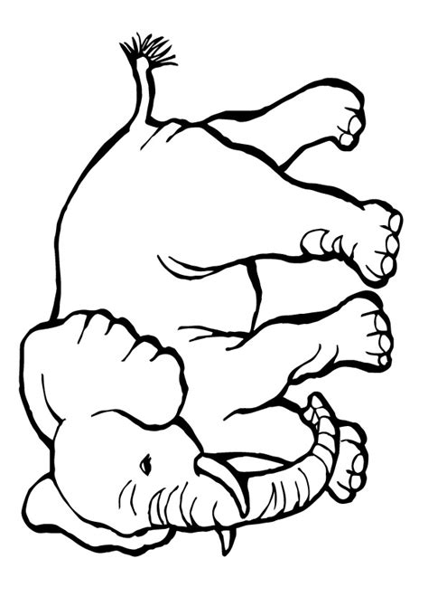 zoo coloring pages books    printable