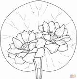 Coloring Lily Water Lilies Pages Two Printable Flowers Pad Flower Color Colouring рисунки Print Supercoloring Drawing на раскраски Super Choose sketch template