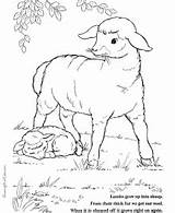 Coloring Easter Pages Lamb Lambs Kids sketch template