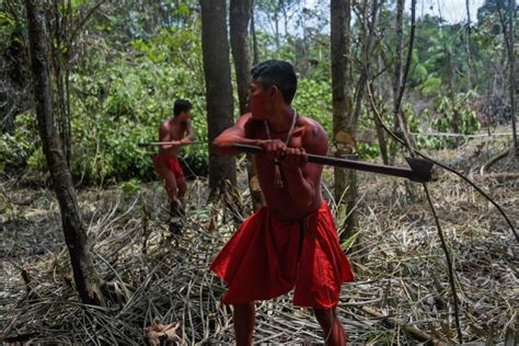 Amazon Tribe Clings To Traditional Way Of Life