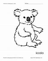 Koala Preschool Koalas sketch template