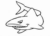 Shark Drawing Template Templates Simple Outlines Colouring Shape Clip Clipart Dandilion Crafts Getdrawings sketch template