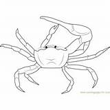 Crab Coloring Mud Gulf Fiddler Crustaceans Pages Coloringpages101 Ghost sketch template