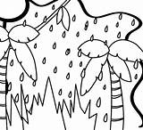 Chuva Floresta Giungla Desenho Pioggia Foresta Disegno Colorironline sketch template