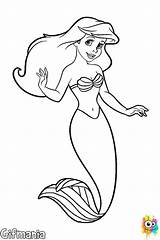Sirenita Ariel Coloring Mermaid Dibujos Pages Little Disney Para Colorear Dibujo Book Choose Board sketch template