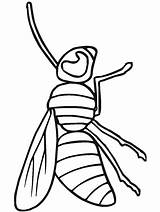 Coloring Pages Insects Primarygames Insect Bug Color5 Science sketch template