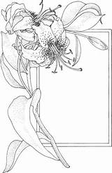 Supercoloring Pergamano Ausmalbild Kwiat Ramka Blumenzeichnung Ausmalen Kolorowanka Seidenmalerei Malerei Cornice Arranged Embroidering Vorlagen Erwachsene Kategorii sketch template