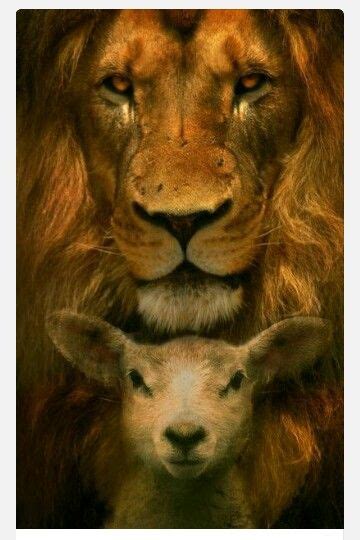 Pin By Brynn On Art Lion Lamb Lion Of Judah Lion