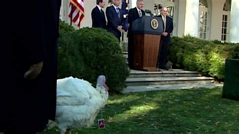 history of the white house turkey pardon cnn video
