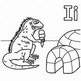 Igloo Coloring Iguana Ice Pages Color Eat House Cream Getcolorings Getdrawings Template sketch template