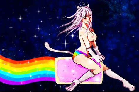 Rule 34 Breasts Female Meme Nyan Cat Tagme Toaster Pastry 818702