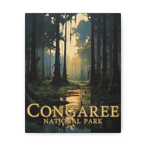 congaree national park small  canvas np prints small wall art office decor sc national