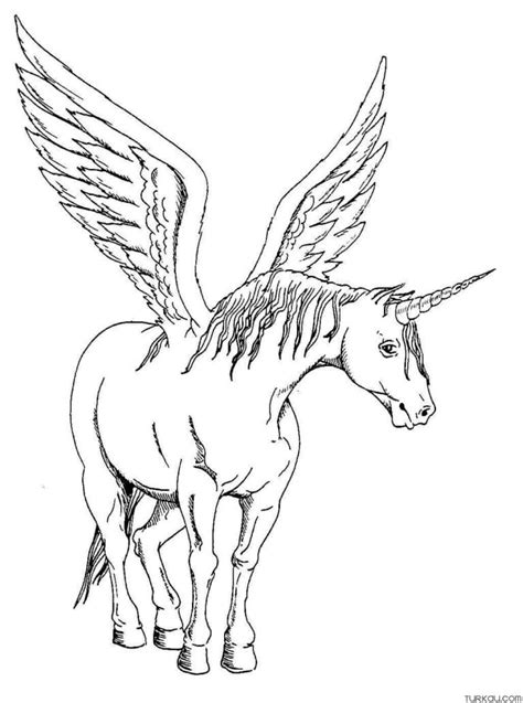 winged unicorn coloring page turkau