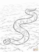 Snake Copperhead Snakes Supercoloring Serpiente Cobre Serpientes Aboriginal Serpent Cascabel Moccasin Anaconda Realistic Coloriages Parentune sketch template