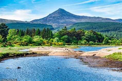scotland  miniature      isle  arran  wildlife
