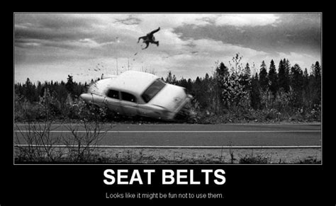 seat belts picture ebaum s world