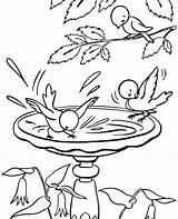 Water Drinking Coloring Pages Birds Getcolorings Printable Color sketch template