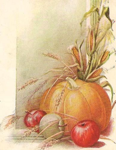 vintage pumpkin flickr photo sharing