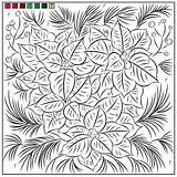 Nicole Poinsettia Color Florian Numbers November Coloring Created Friday sketch template