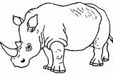 Rhinoceros Coloriage Rhinocéros Rhino Colorier Rinocerontes Templates Rinoceronte sketch template