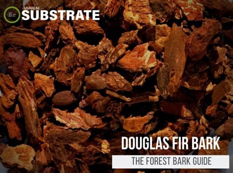 complete guide  douglas fir bark forest bark  vivarium