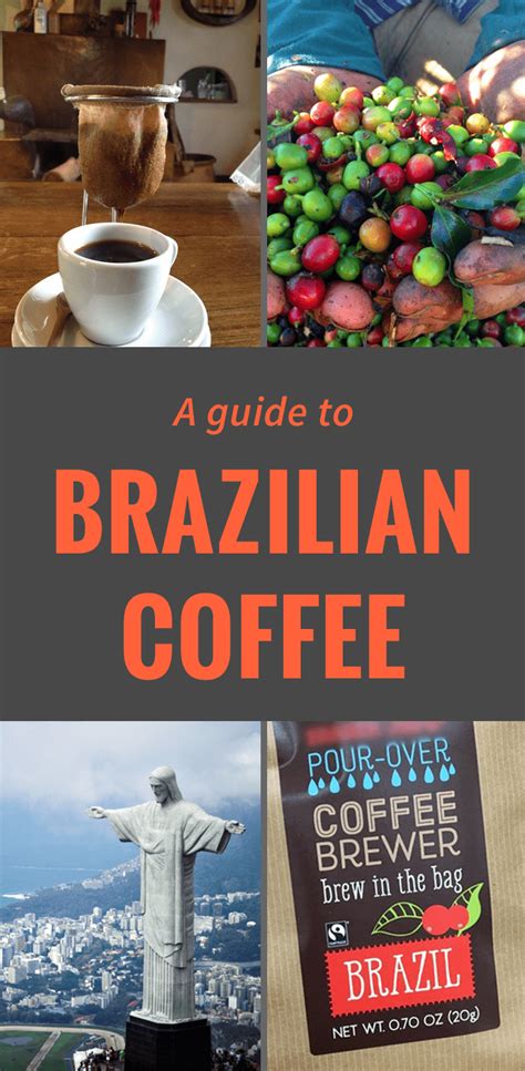 Brazilian Coffee Guide All That You Need To Know Before