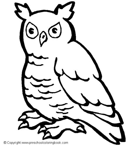birds  animals  printable coloring pages