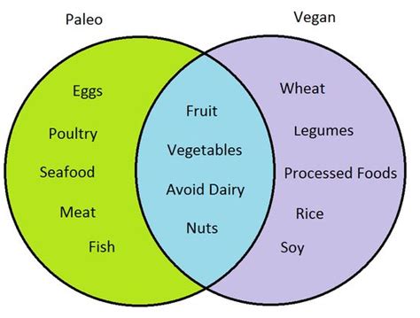 paleo vs vegan which should you choose oh snap let s