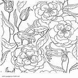 Pages Coloring Flower Adult Printable Adults Flowers Print Colouring Look Other sketch template