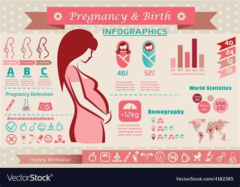 pregnancy and birth infographics presentation vector image