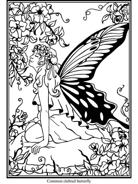 fairies fairies  coloring pages