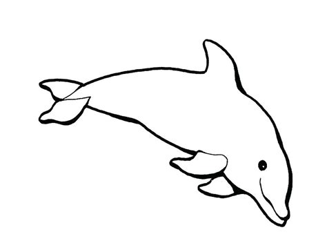 cute baby dolphin coloring pages  getcoloringscom  printable