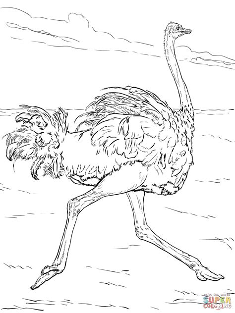 realistic african animals page coloring pages