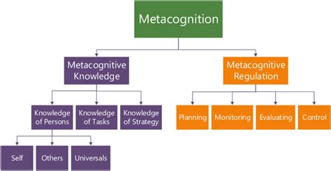 metacognition definition efficient strategies